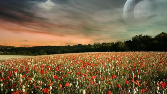 如何看待M4单核性能吊打9950x?